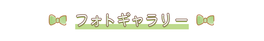 フォトギャラリー
