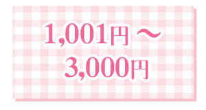 1,001〜3,000円