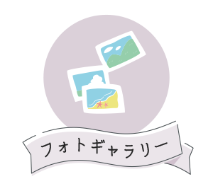 フォトギャラリー