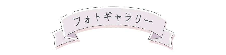 フォトギャラリー