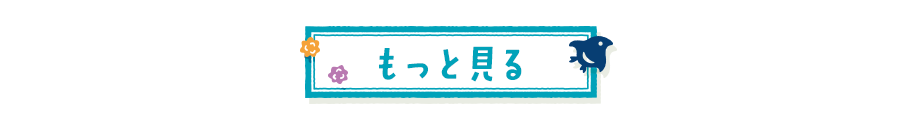 もっと見る